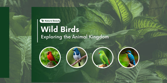 Wild Birds