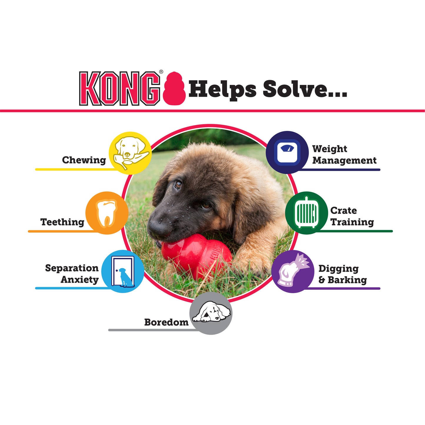KONG Classic Large Red x 1