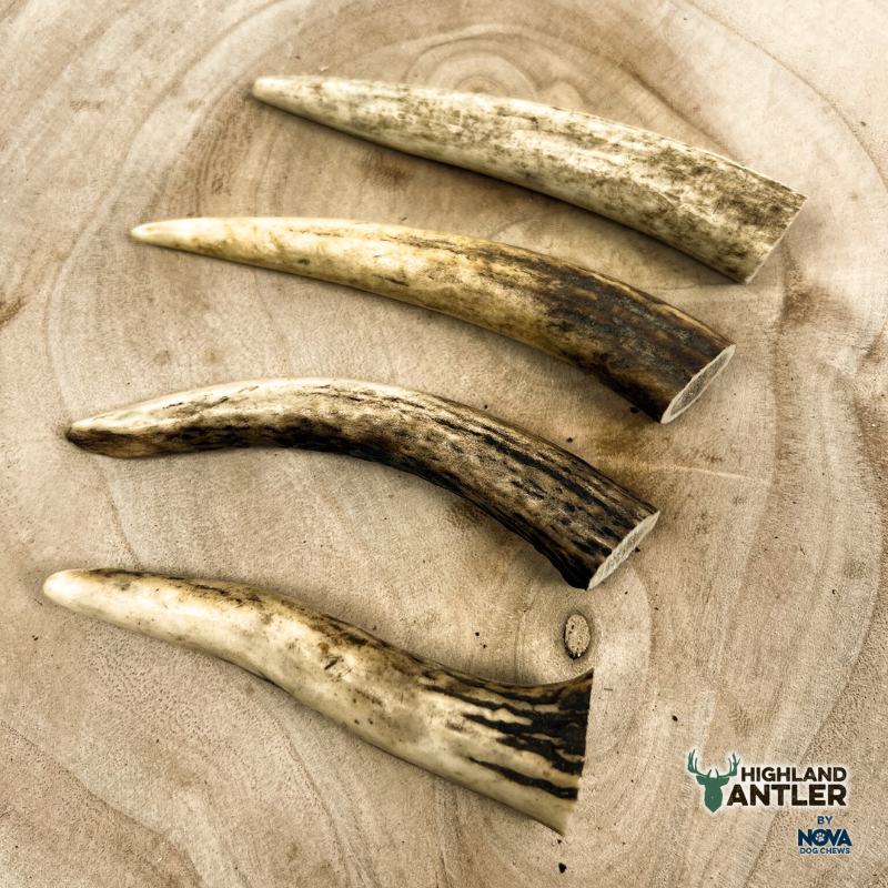Antler Extra Small (Under 50g