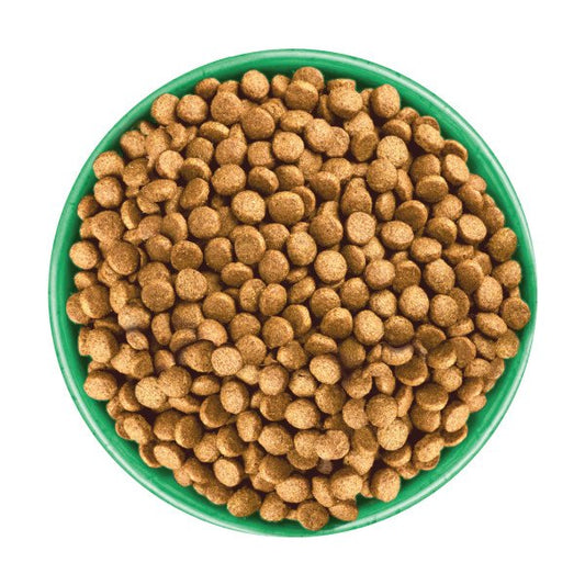 James Wellbeloved Puppy Dog Superfoods - Turkey, Kale & Quinoa 1.5kg