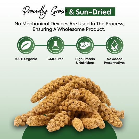 1 kg Millet Spray - Beewarm Wild Birds Food