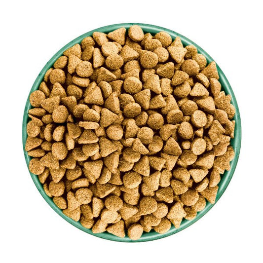 James Wellbeloved Adult Dog Superfoods - Lamb, Sweet Potato & Chia 1.5kg