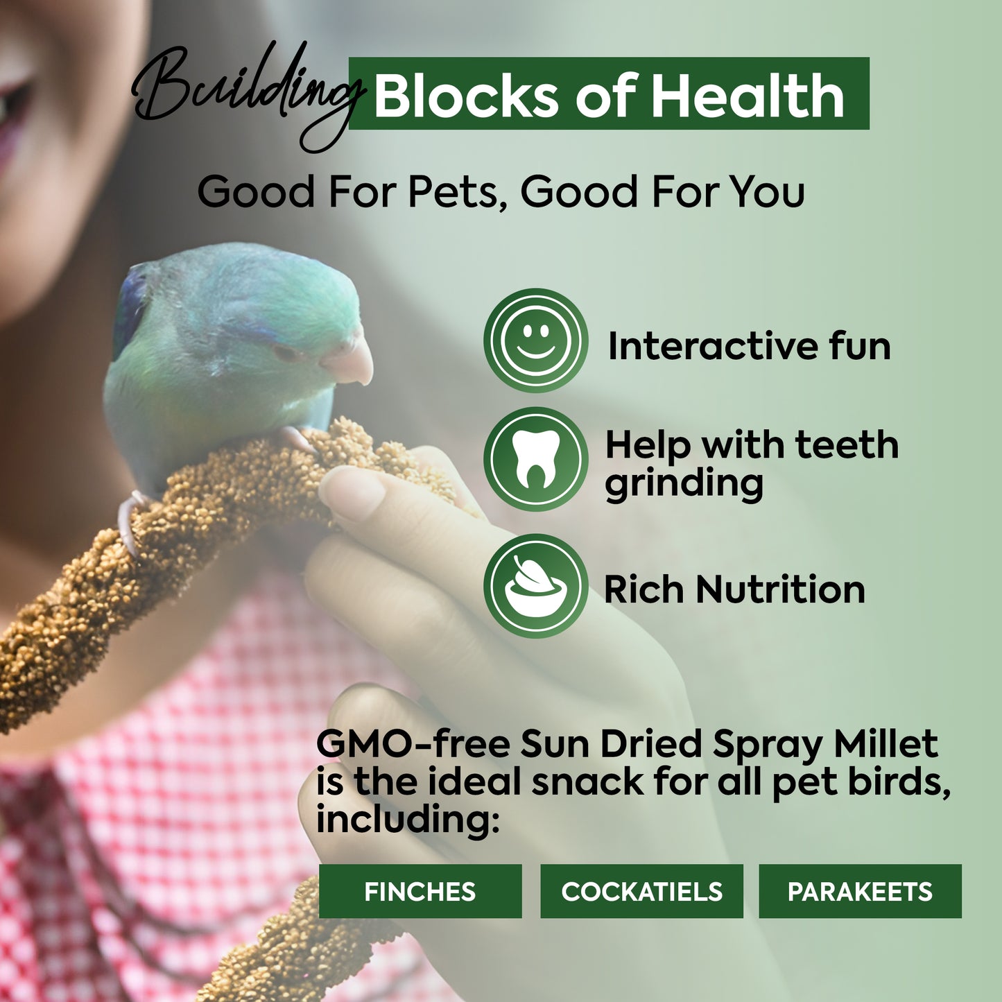 1 kg Millet Spray - Beewarm Wild Birds Food