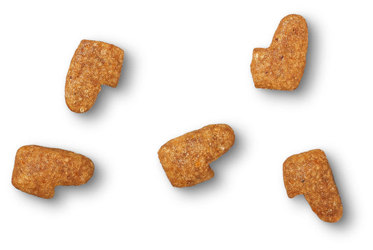 James Wellbeloved Kitten - Fish & Rice 1.5kg x 1