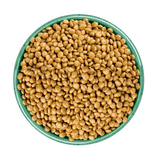 James Wellbeloved Adult Cat Grain Free - Turkey 4kg x 1