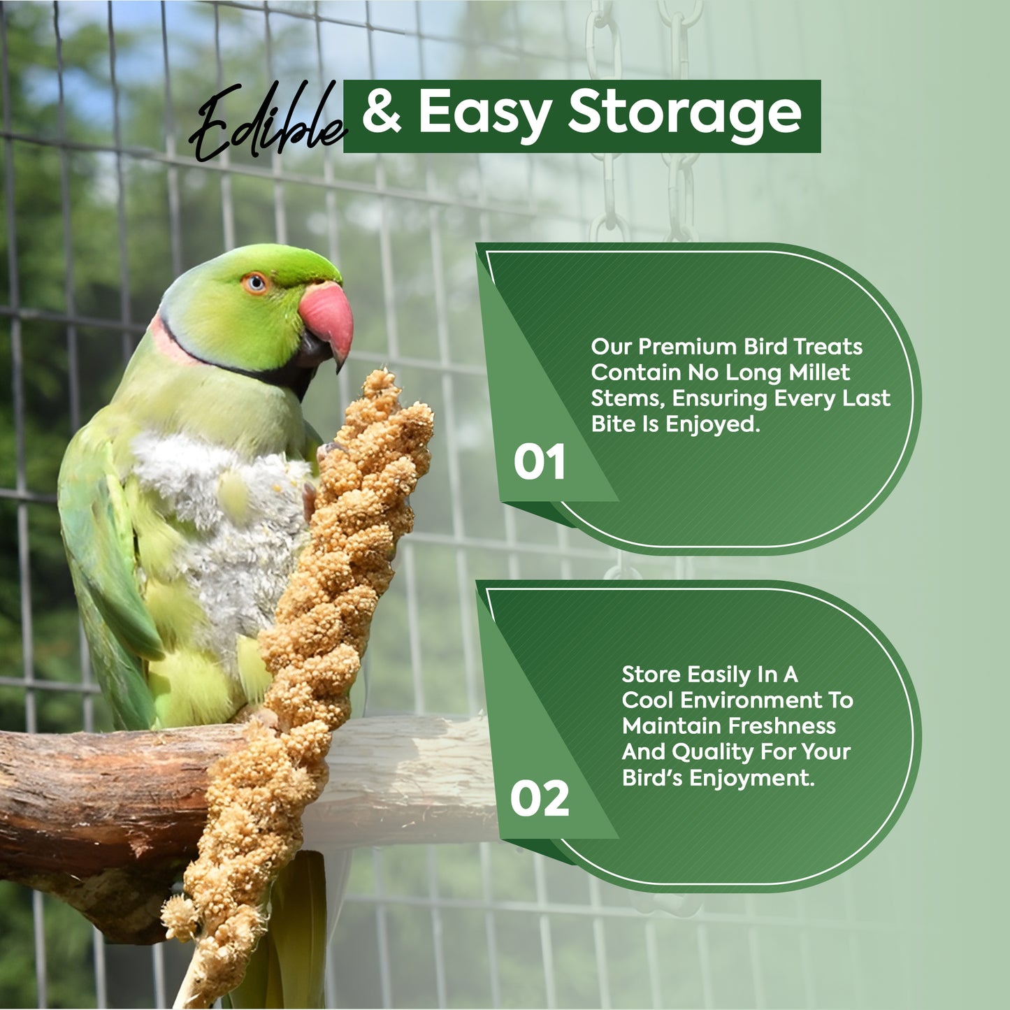 1 kg Millet Spray - Beewarm Wild Birds Food