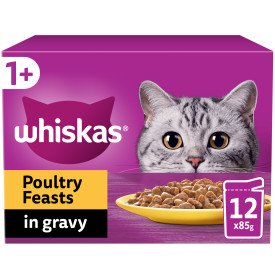 Whiskas Pouch 1+ Poultry Feasts Gravy 85g 12pk x 4