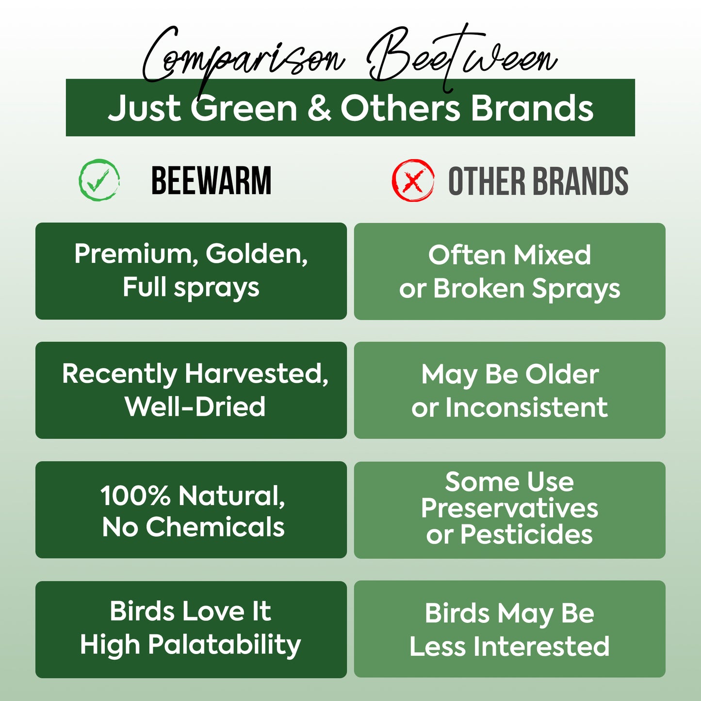 1 kg Millet Spray - Beewarm Wild Birds Food