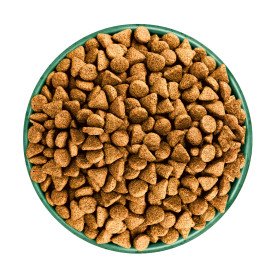 James Wellbeloved Adult Dog Superfoods - Turkey, Kale & Quinoa 1.5kg