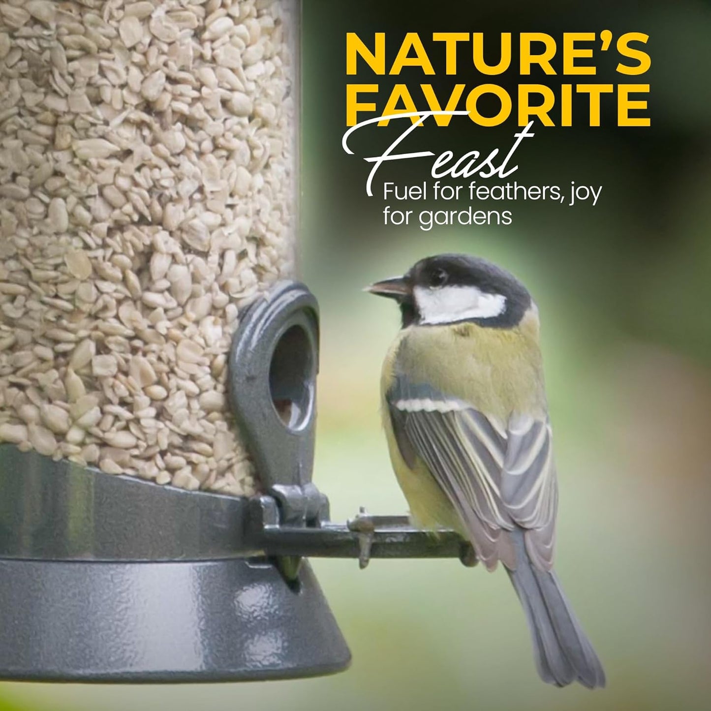 20 KG Sunflower Heart - Beewarm Wild Birds Food