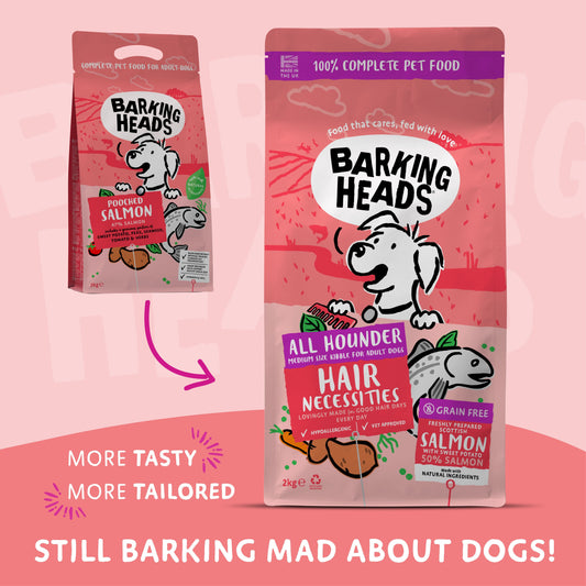 Barking Heads Adult Dog All Hounder Hair Necessities Salmon 2kg