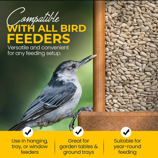 3L Tub Sunflower Hearts- Beewarm Wild Birds Food