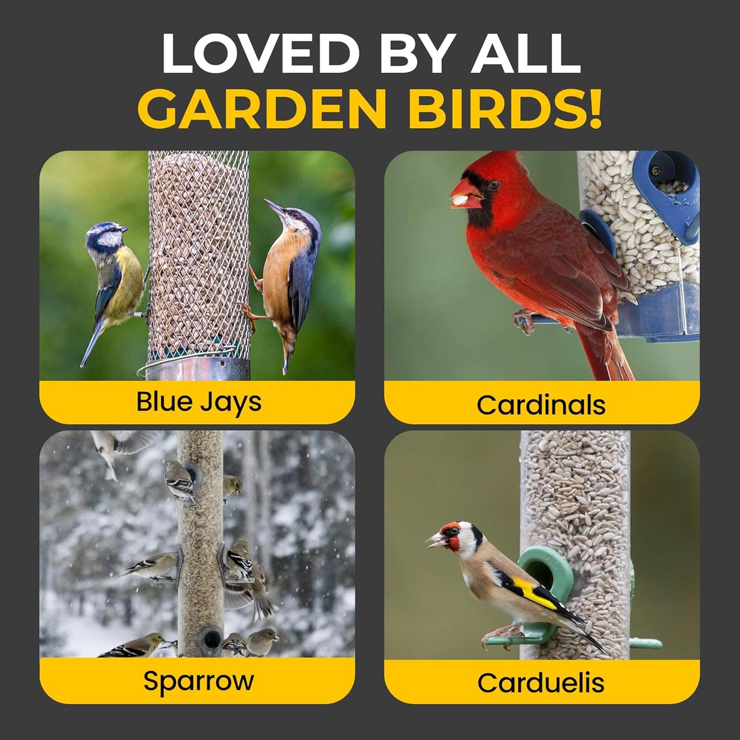 20 KG Sunflower Heart - Beewarm Wild Birds Food