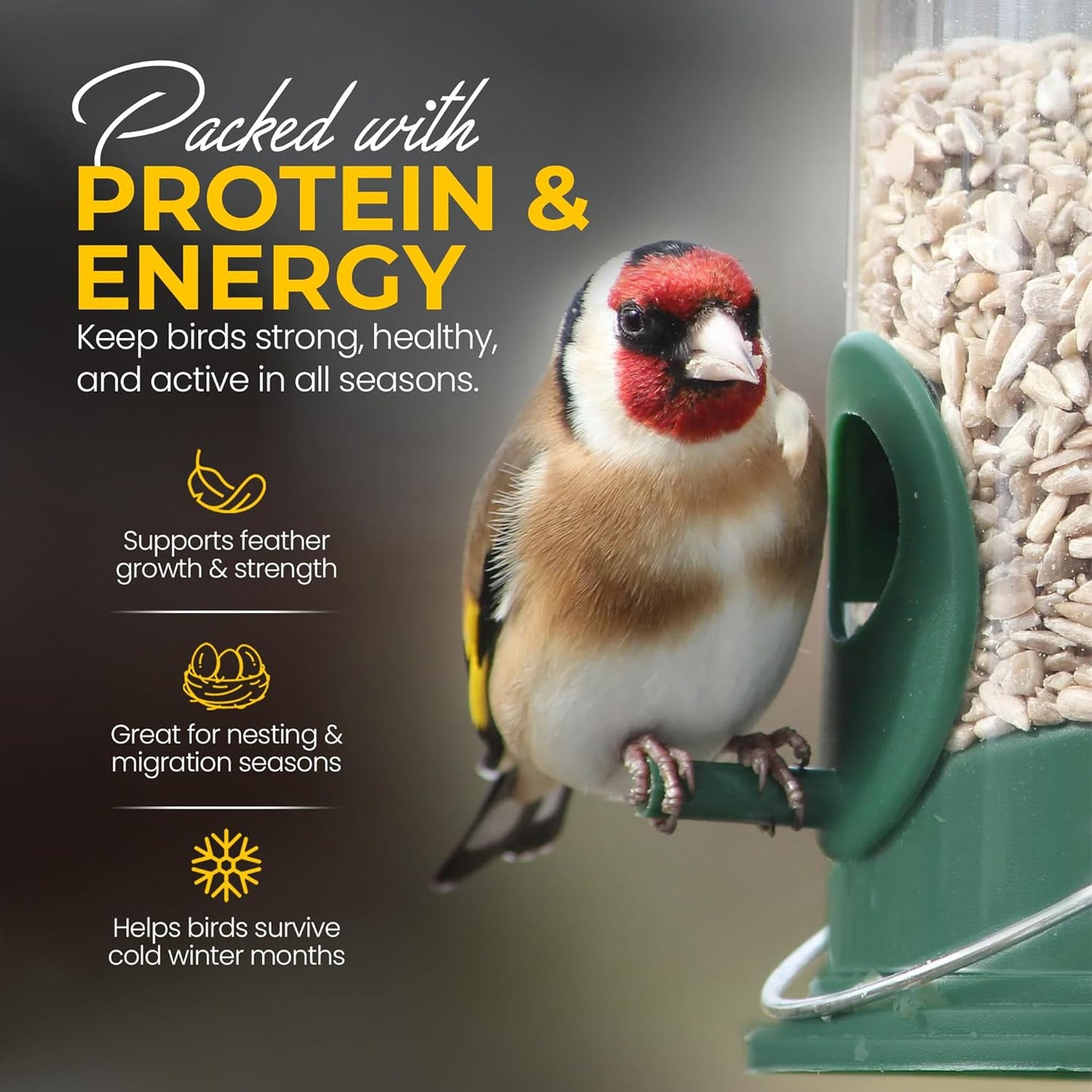 20 KG Sunflower Heart - Beewarm Wild Birds Food