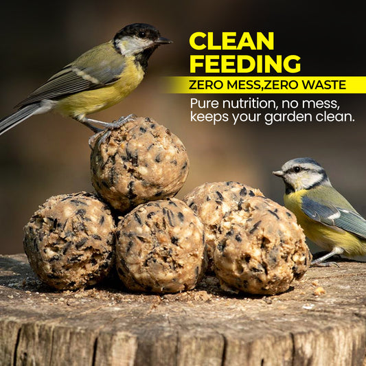 5L Tub Fat Balls - Beewarm wild Birds Food