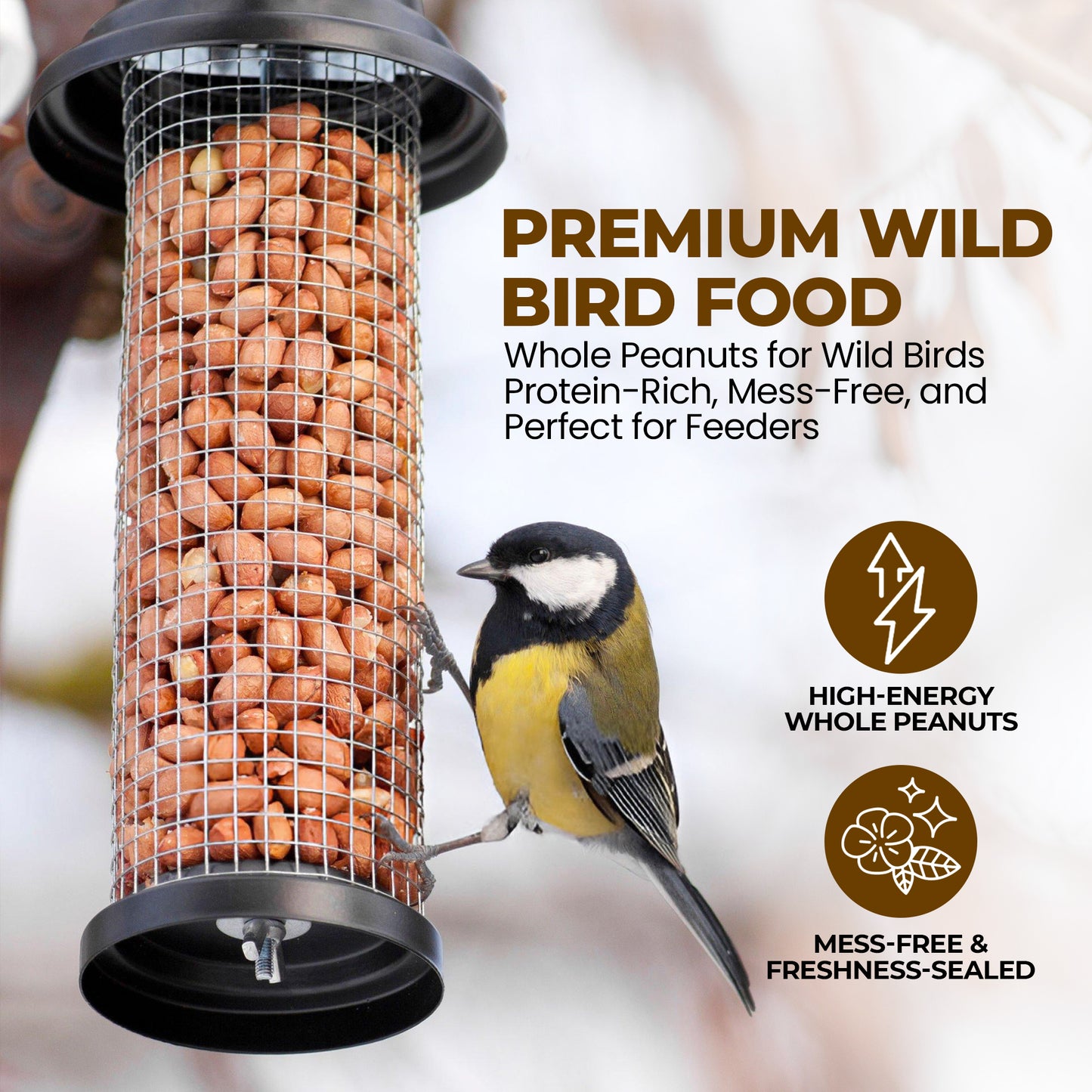 5L Tub Peanuts Whole - Beewarm Wild Birds Food