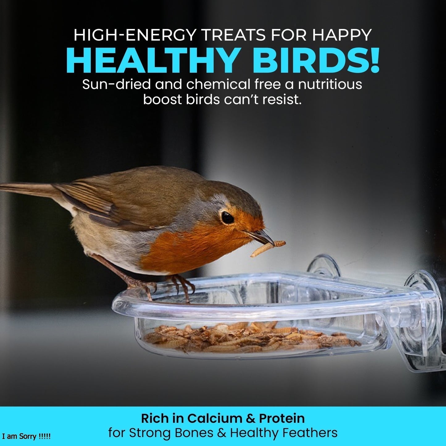 5L Tub Calci Worms- Beewarm Wild Birds Food