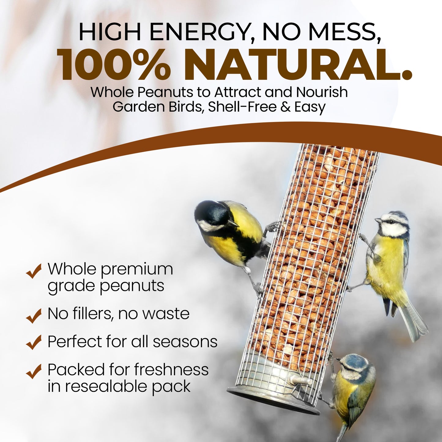 5L Tub Peanuts Whole - Beewarm Wild Birds Food