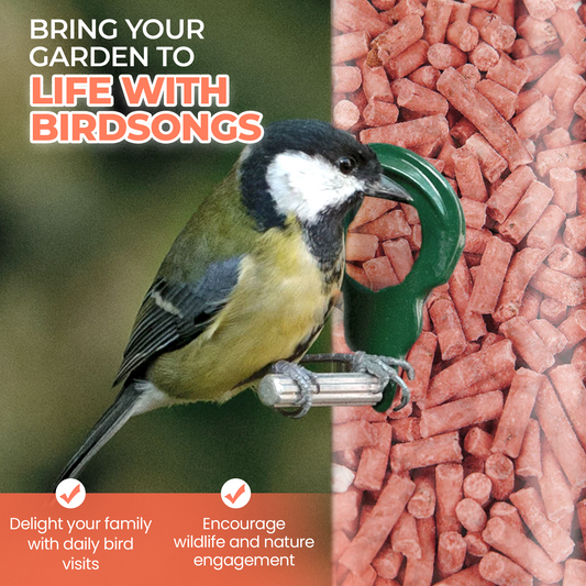 5L Tub Berry Mix Suets- Beewarm Wild Birds Food