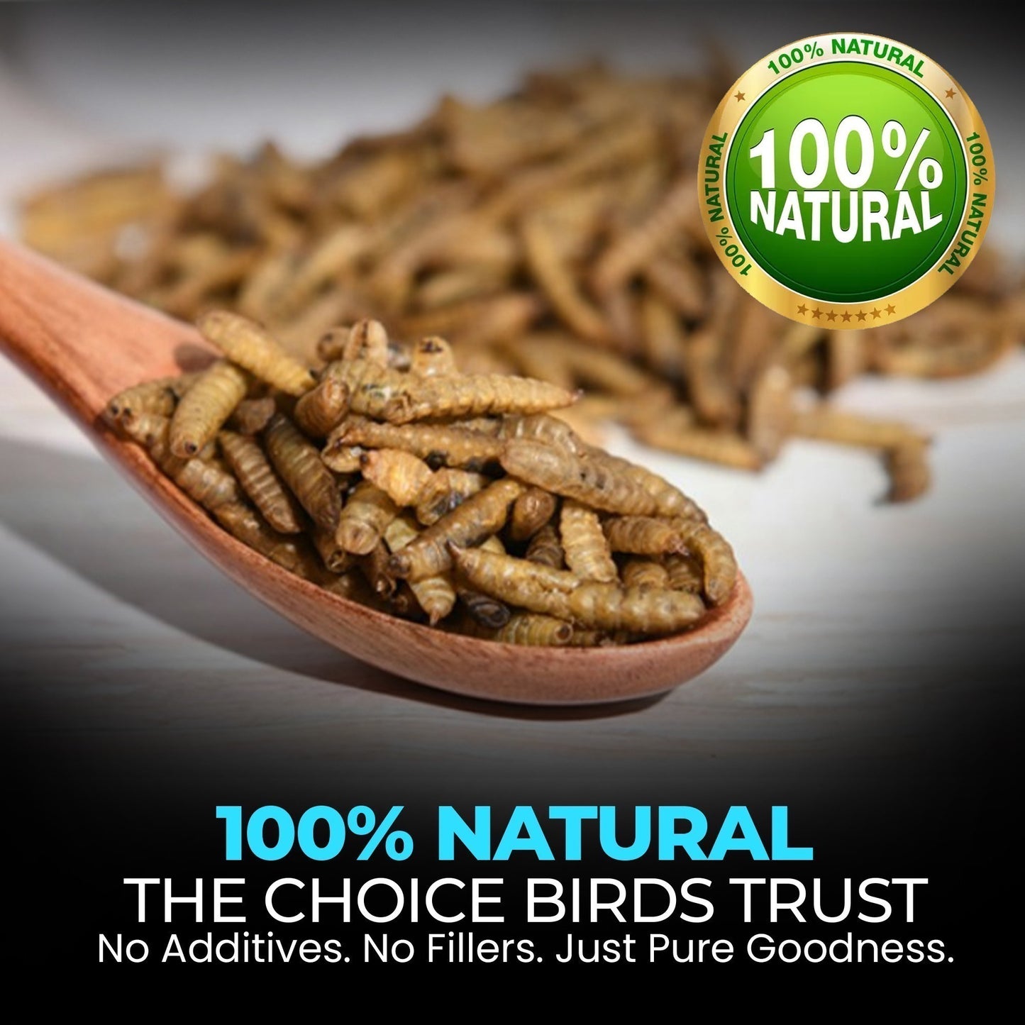 5L Tub Calci Worms- Beewarm Wild Birds Food