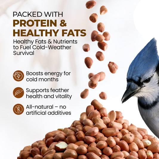 5L Bag Peanuts Whole - Beewarm Wild Birds Food