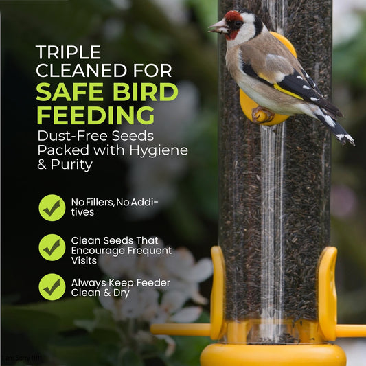 5L Tub Niger Seeds- Beewarm Wild Birds Food