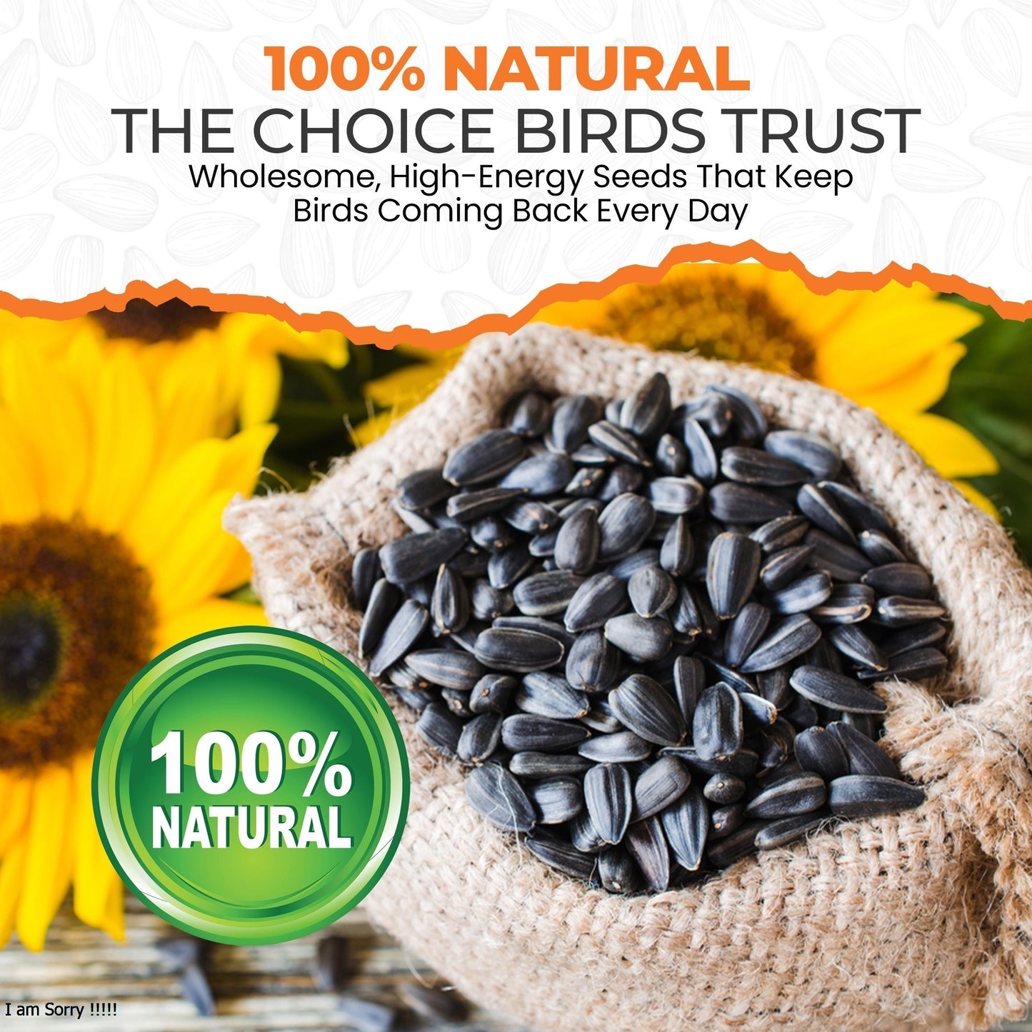 10kg Black Sunflower Seeds- Beewarm Wild Birds Food