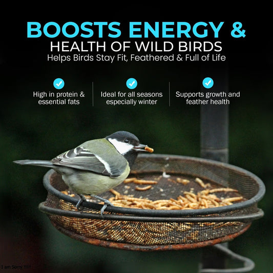 5L Tub Calci Worms- Beewarm Wild Birds Food