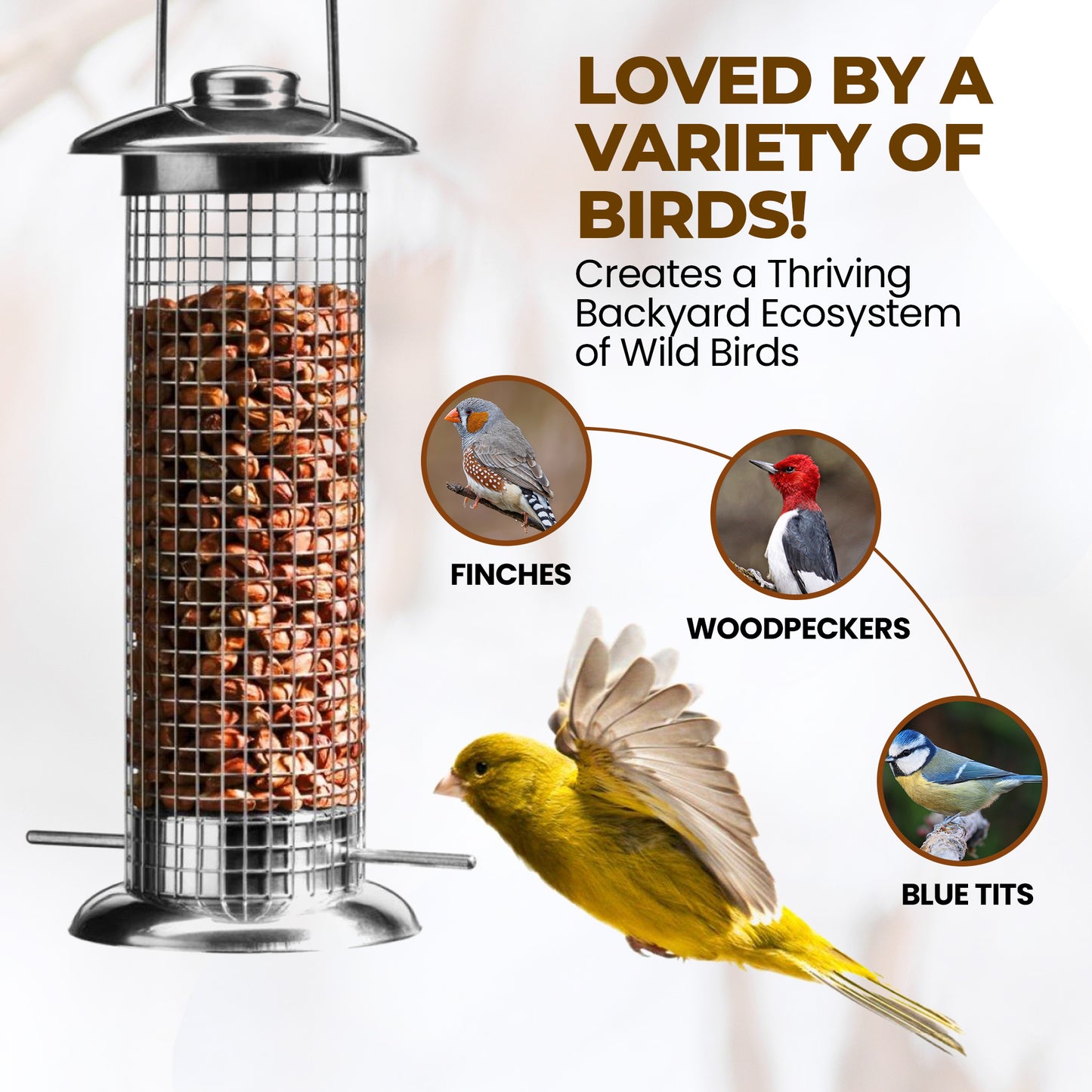 5L Tub Peanuts Whole - Beewarm Wild Birds Food