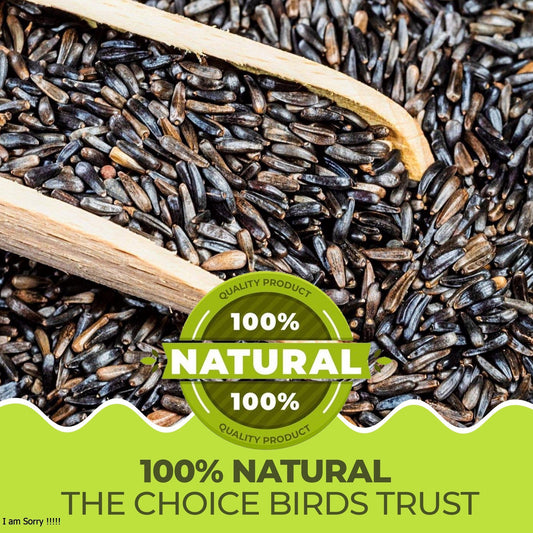 3L Bag Niger Seeds- Beewarm Wild Birds Food