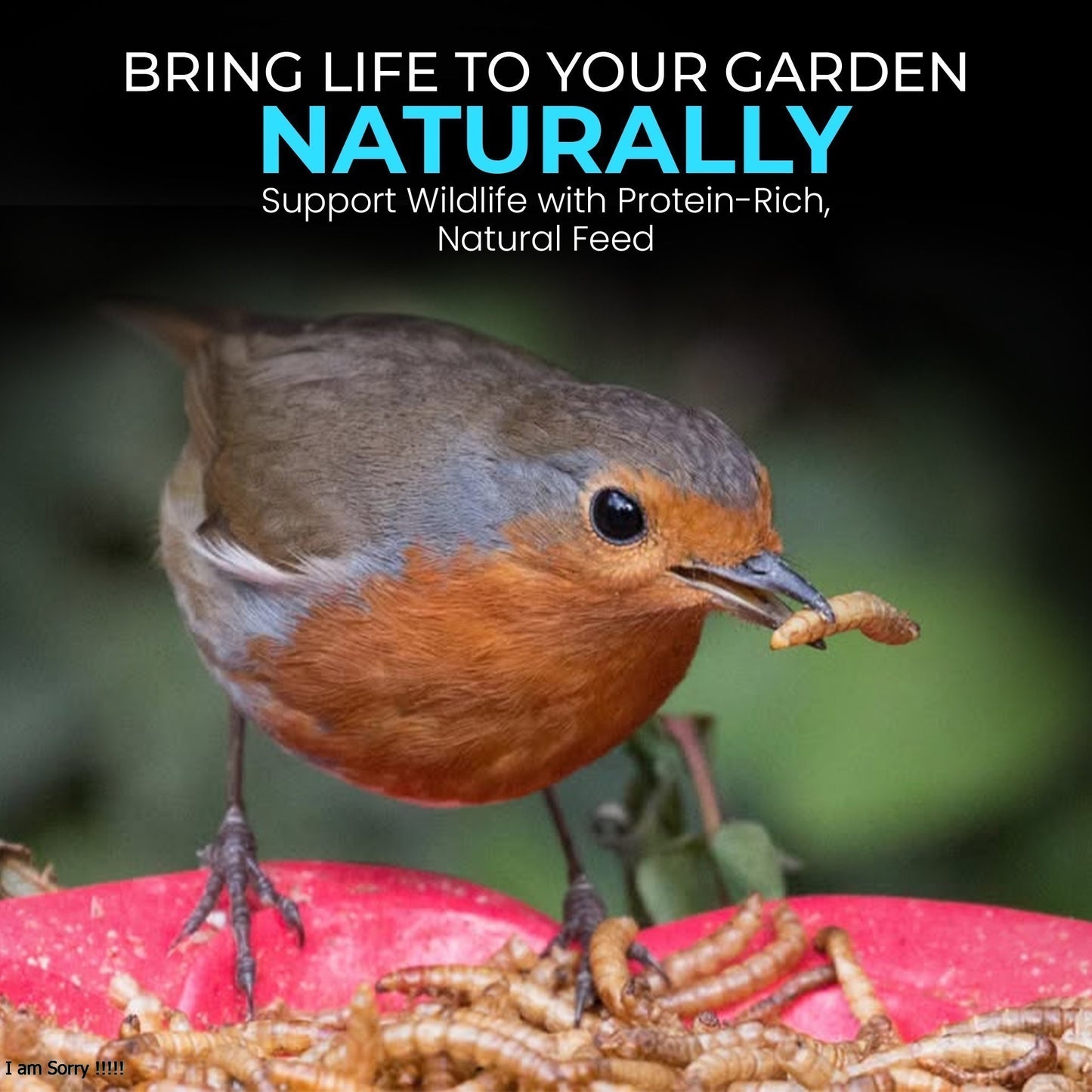 5L Tub Calci Worms- Beewarm Wild Birds Food