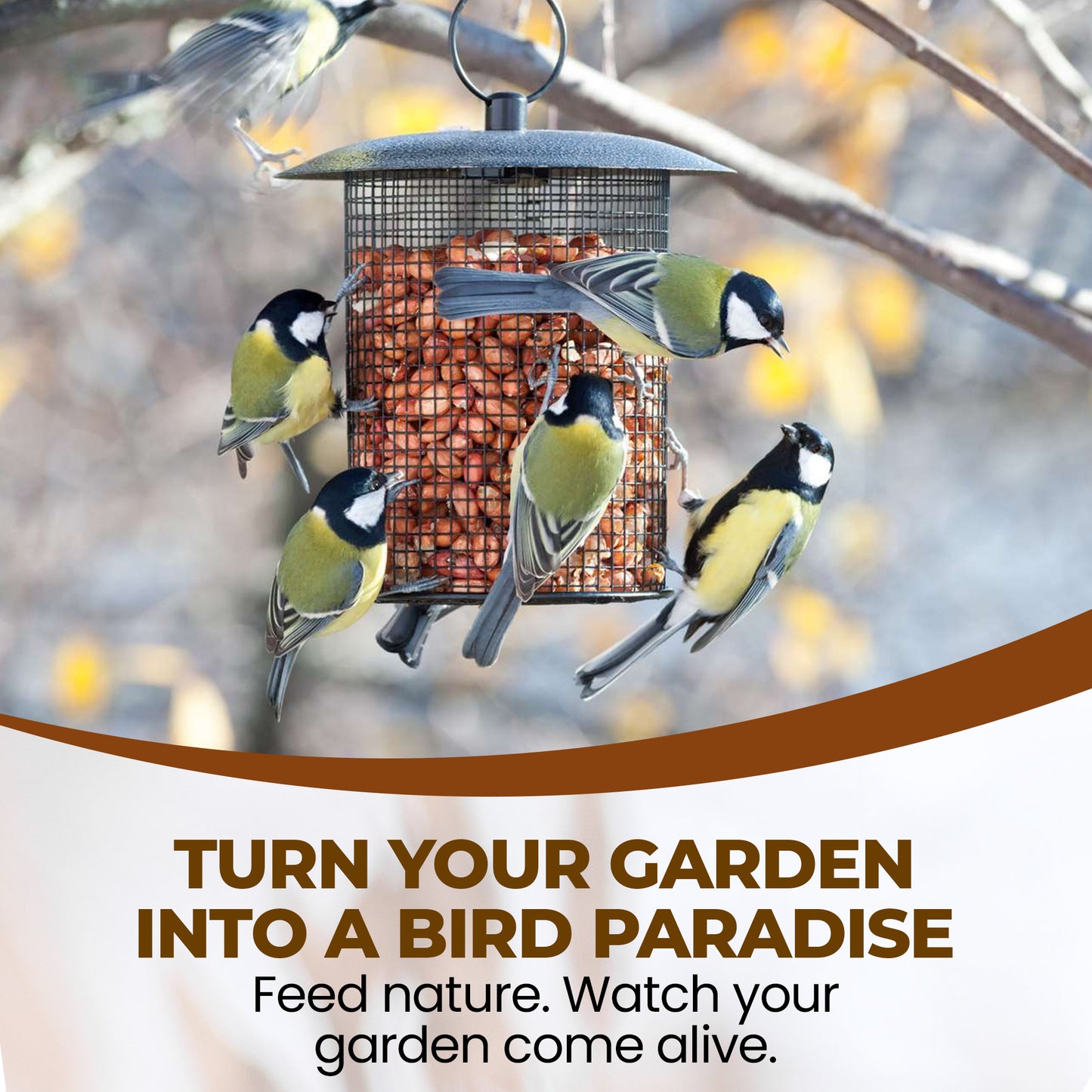5L Tub Peanuts Whole - Beewarm Wild Birds Food