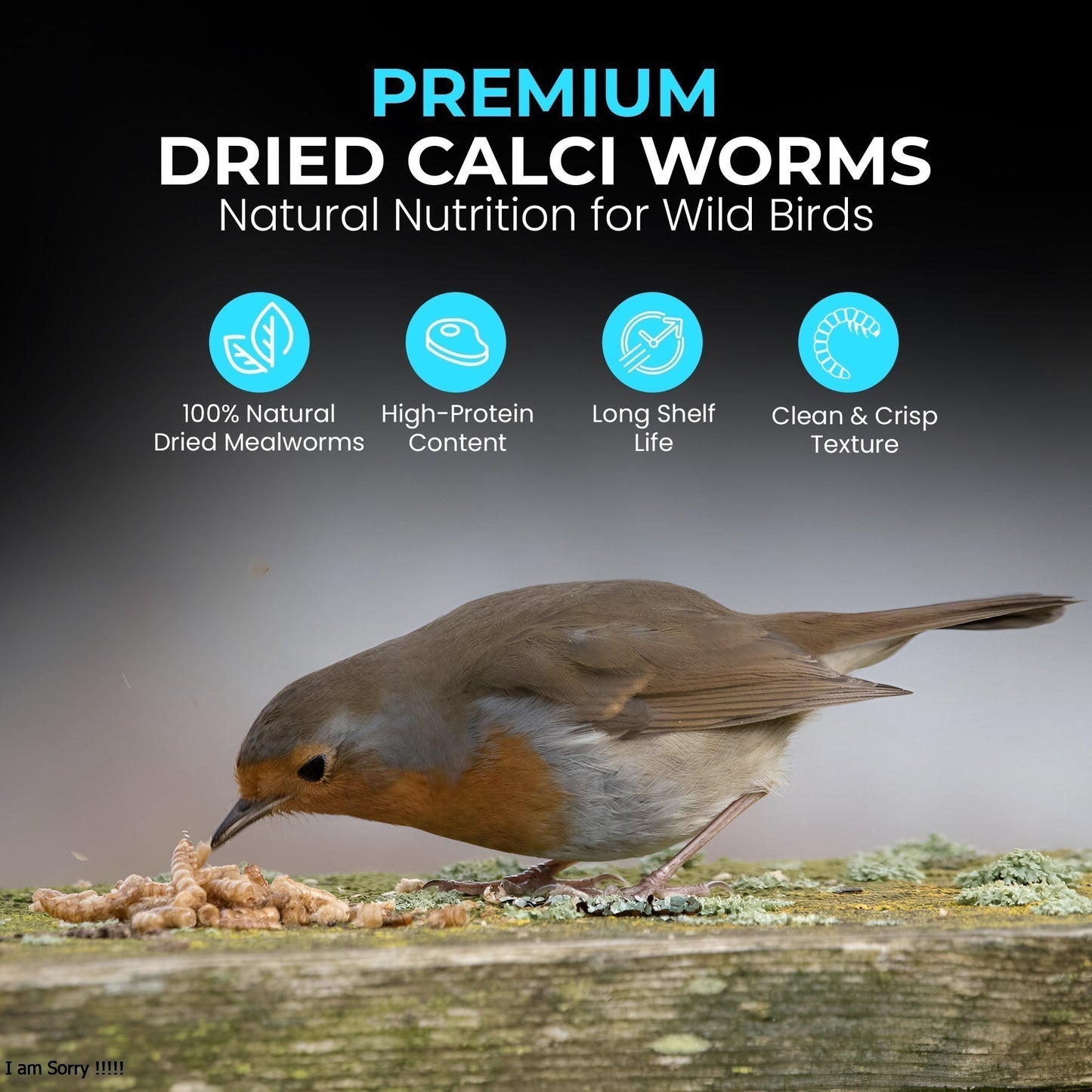 5L Tub Calci Worms- Beewarm Wild Birds Food