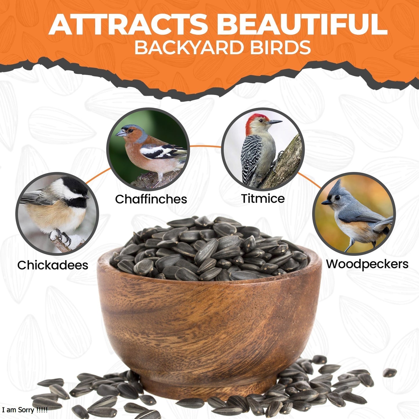 10kg Black Sunflower Seeds- Beewarm Wild Birds Food