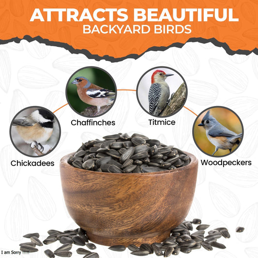 3L Bag Black Sunflower Seeds- Beewarm Wild Birds Food