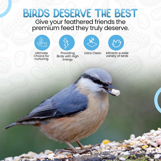 3L Tub Peanuts Granules- Beewarm Wild Birds Food