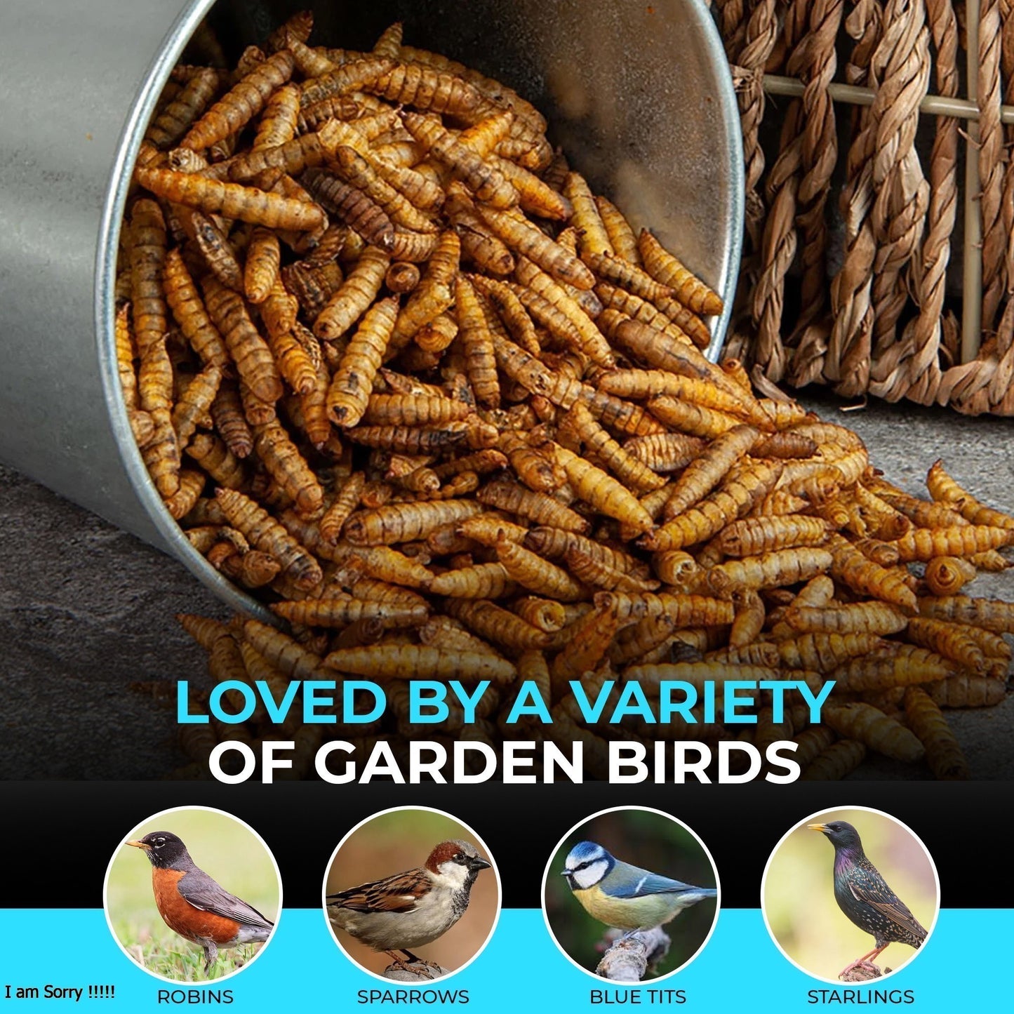 5L Tub Calci Worms- Beewarm Wild Birds Food