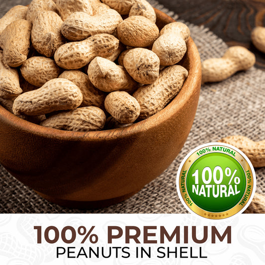 3L Bag Peanuts in Shell- Beewarm Wild Birds Food