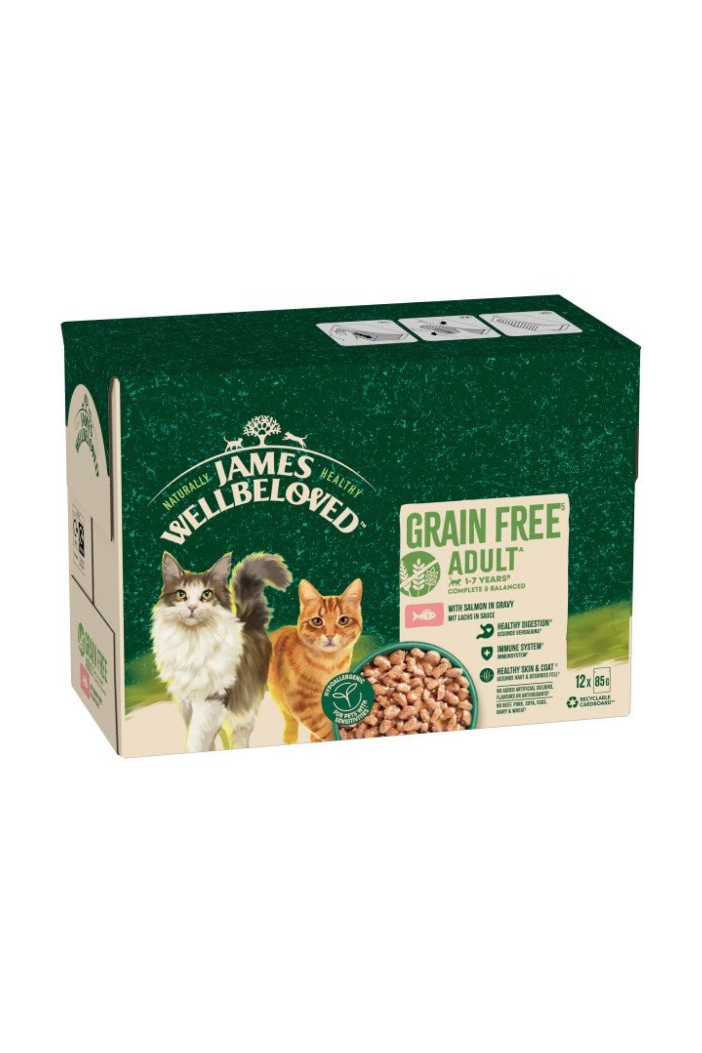 James Wellbeloved Adult Cat Pouch Grain Free Salmon Gravy 85g x 12