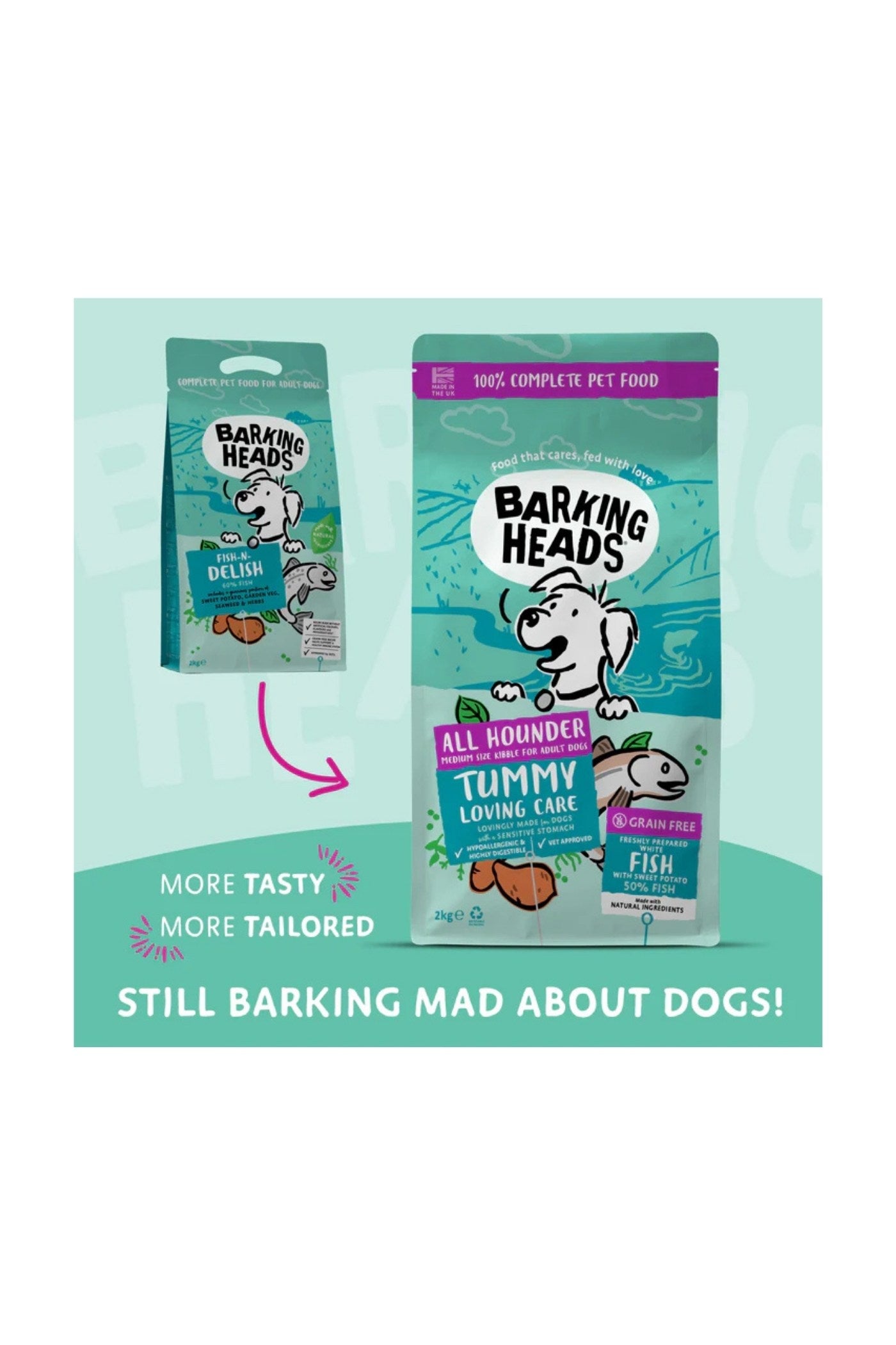 Barking Heads Adult Dog All Hounder Tummy Lovin' Care Fish 2kg