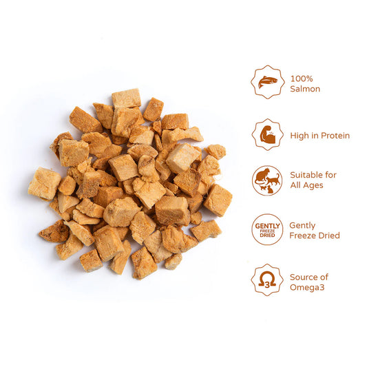 100% Salmon Fillet Cat Treats 121g Tube