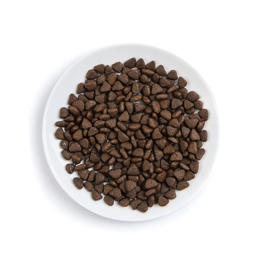 PremiumPlus Salmon and Herring Complete Dry Cat Food