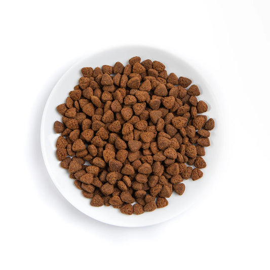 PremiumPlus Chicken with Turkey Complete Dry Cat Food