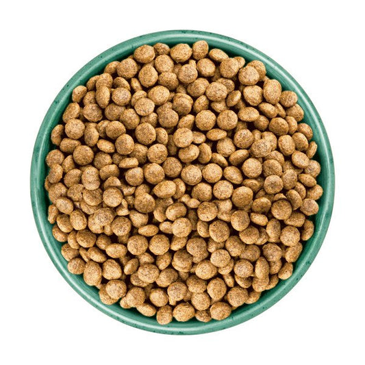 James Wellbeloved Puppy / Junior Dog Grain-Free - Turkey 1.5kg