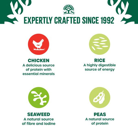 James Wellbeloved Puppy Can Chicken, Rice & Veg in Loaf 400g x 12