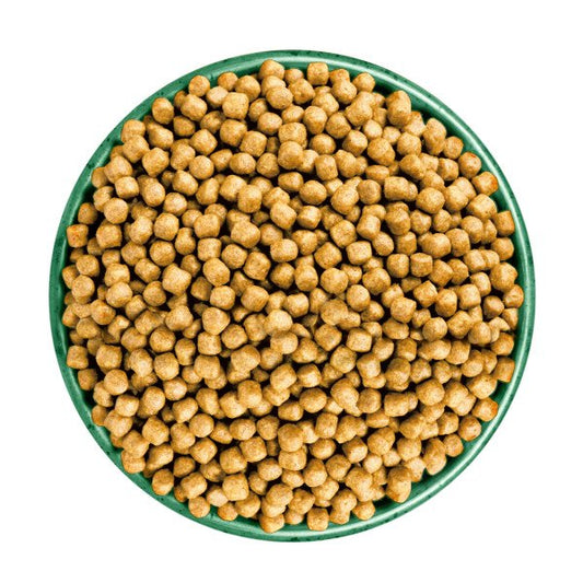 James Wellbeloved Senior Cat - Fish & Rice 4kg x 1