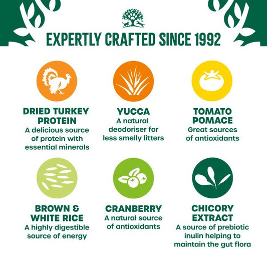 James Wellbeloved Kitten - Turkey & Rice 4kg x 1