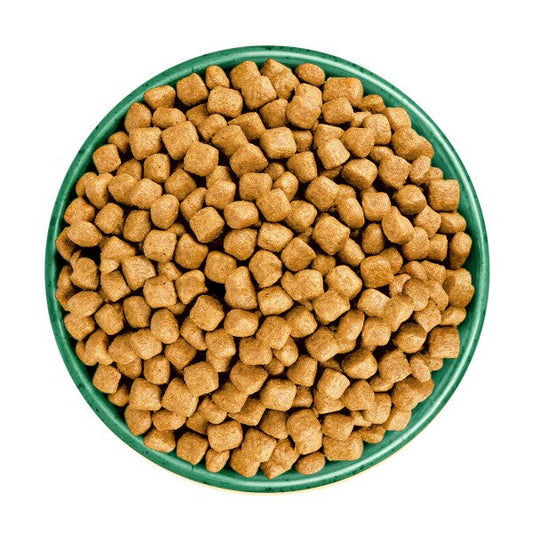 James Wellbeloved Cat Oral Health - Turkey & Rice 4kg x 1