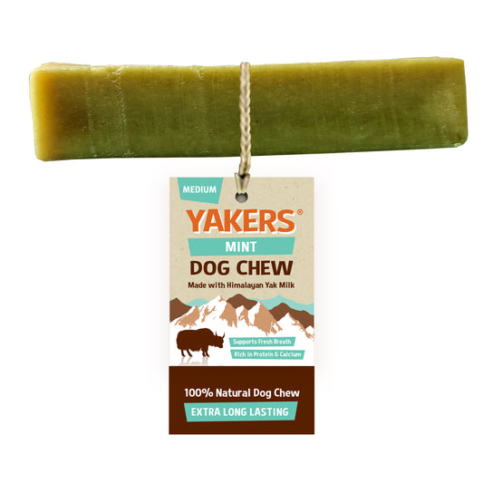 Yakers Dog Chew MINT Medium x 20