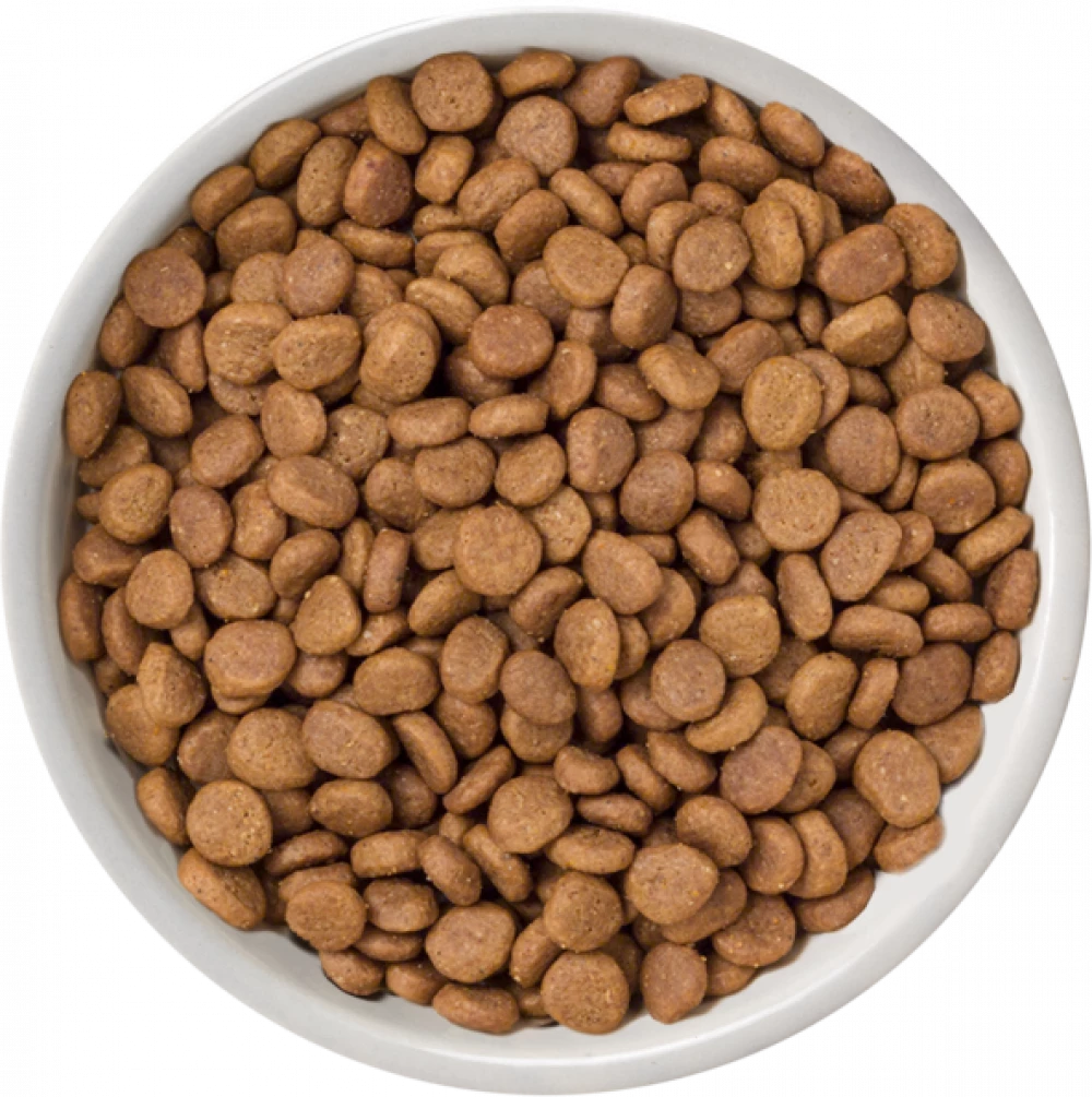 Selected Dry Free Range Chicken For Adult Cats